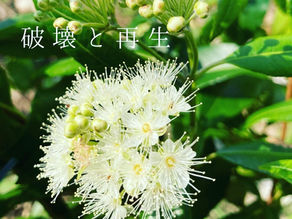 破壊と再生のエネルギー