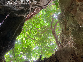 光と闇から