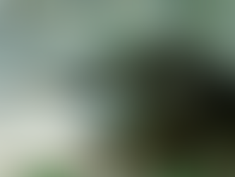 身近な異世界へ