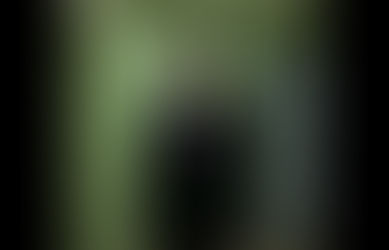 Следуй за нами