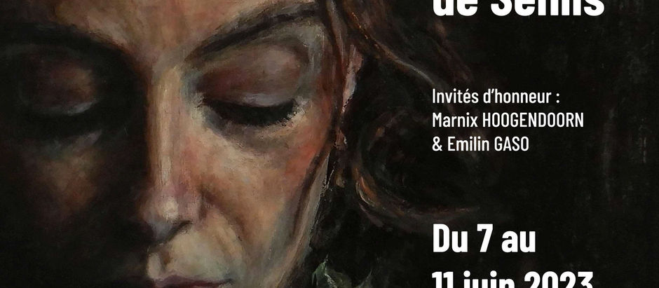 Marnix Hoogendoorn expose à Senlis