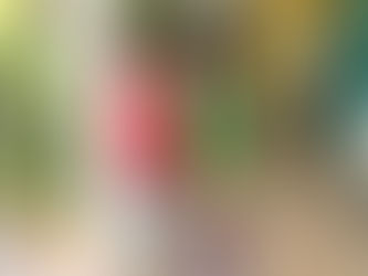 What Turks and Caicos Taught Me About Belonging and Becoming