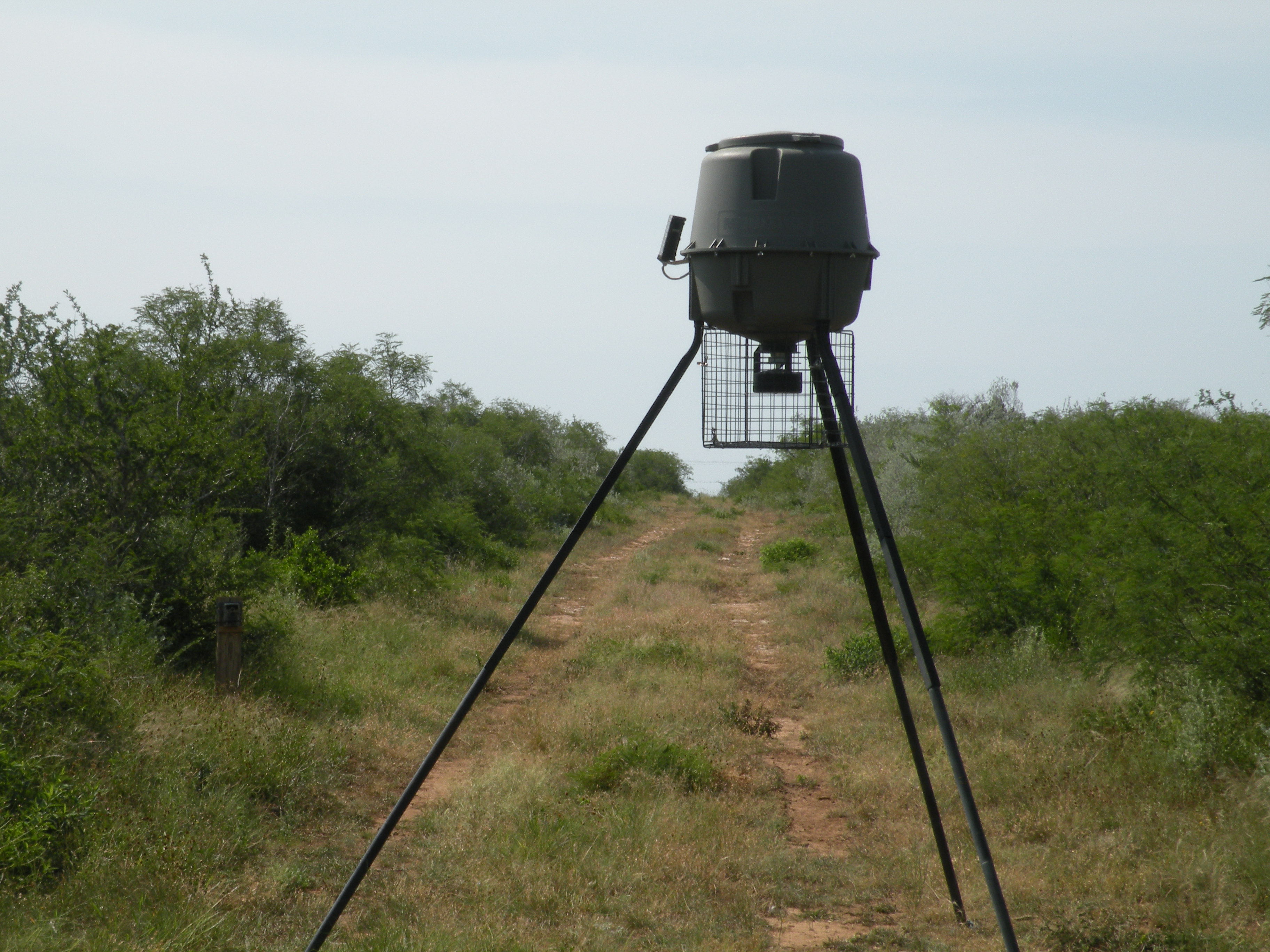 Lobo Real Estate Sold Properties