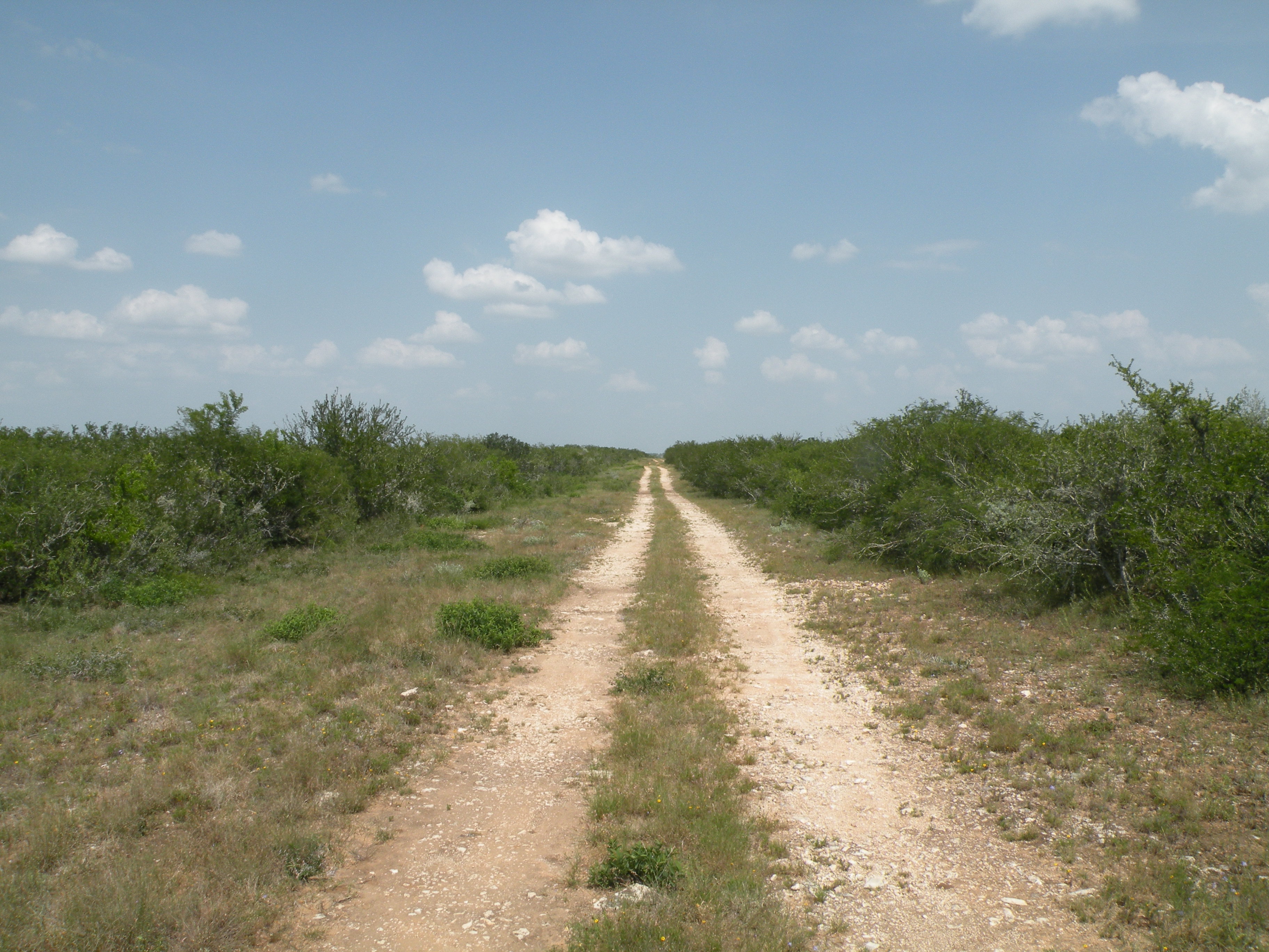 Lobo Real Estate Sold Properties