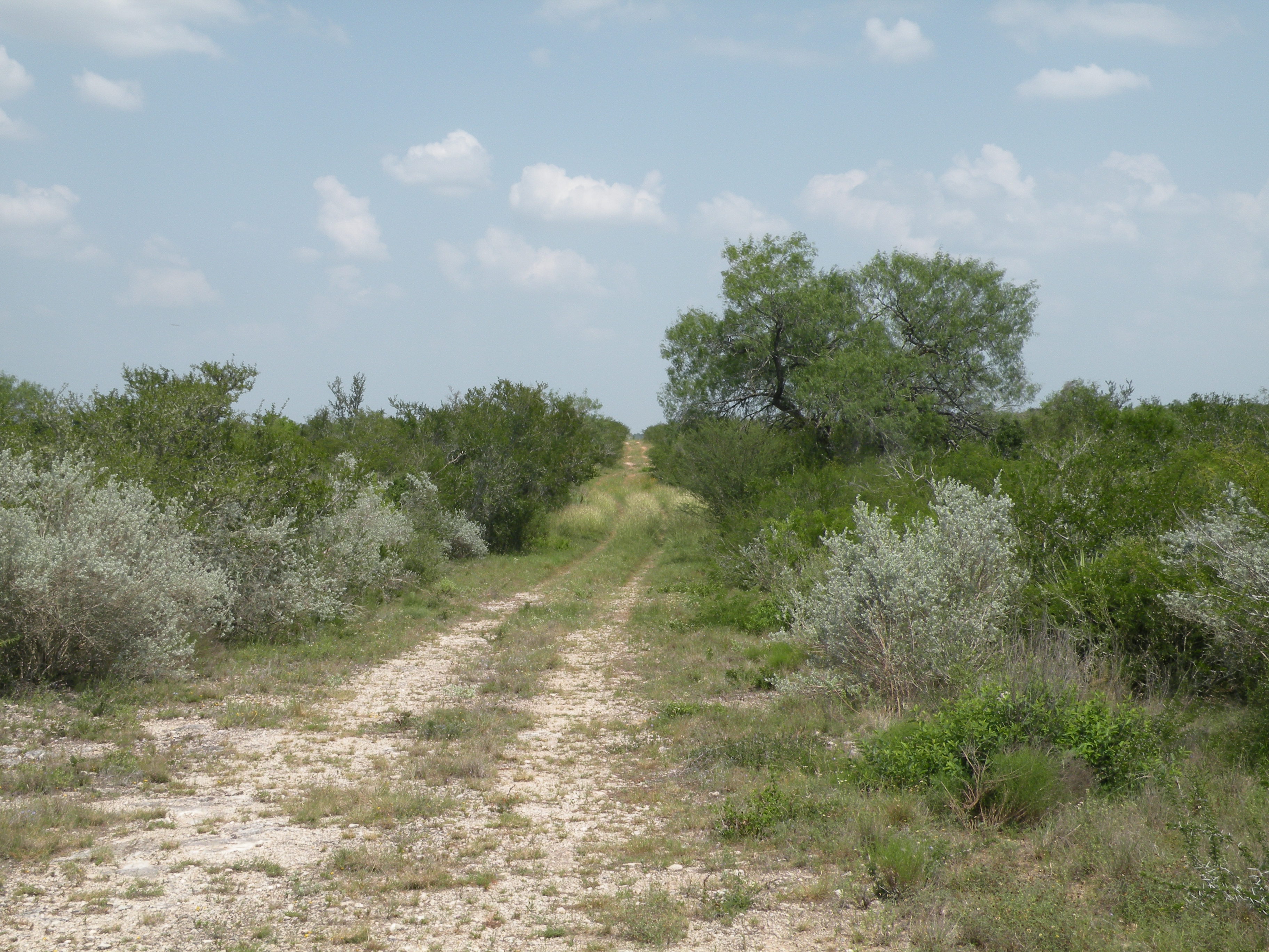 Lobo Real Estate Sold Properties