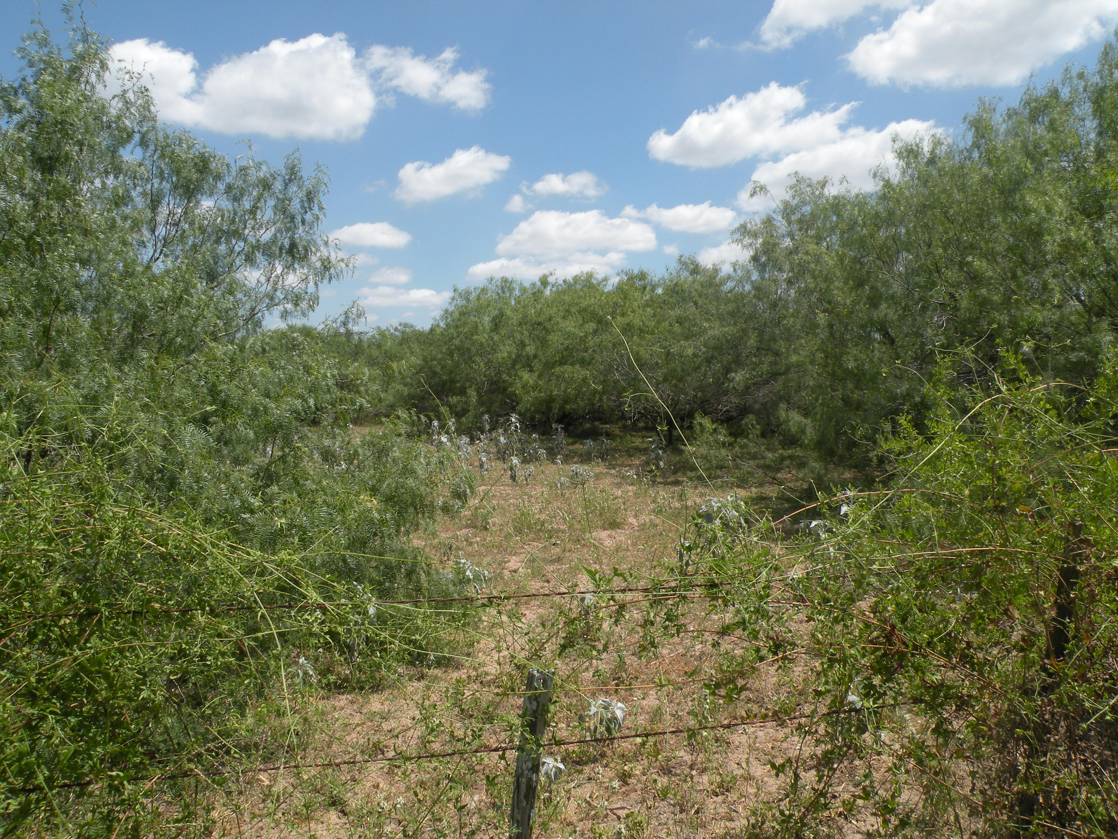 Lobo Real Estate Sold Properties