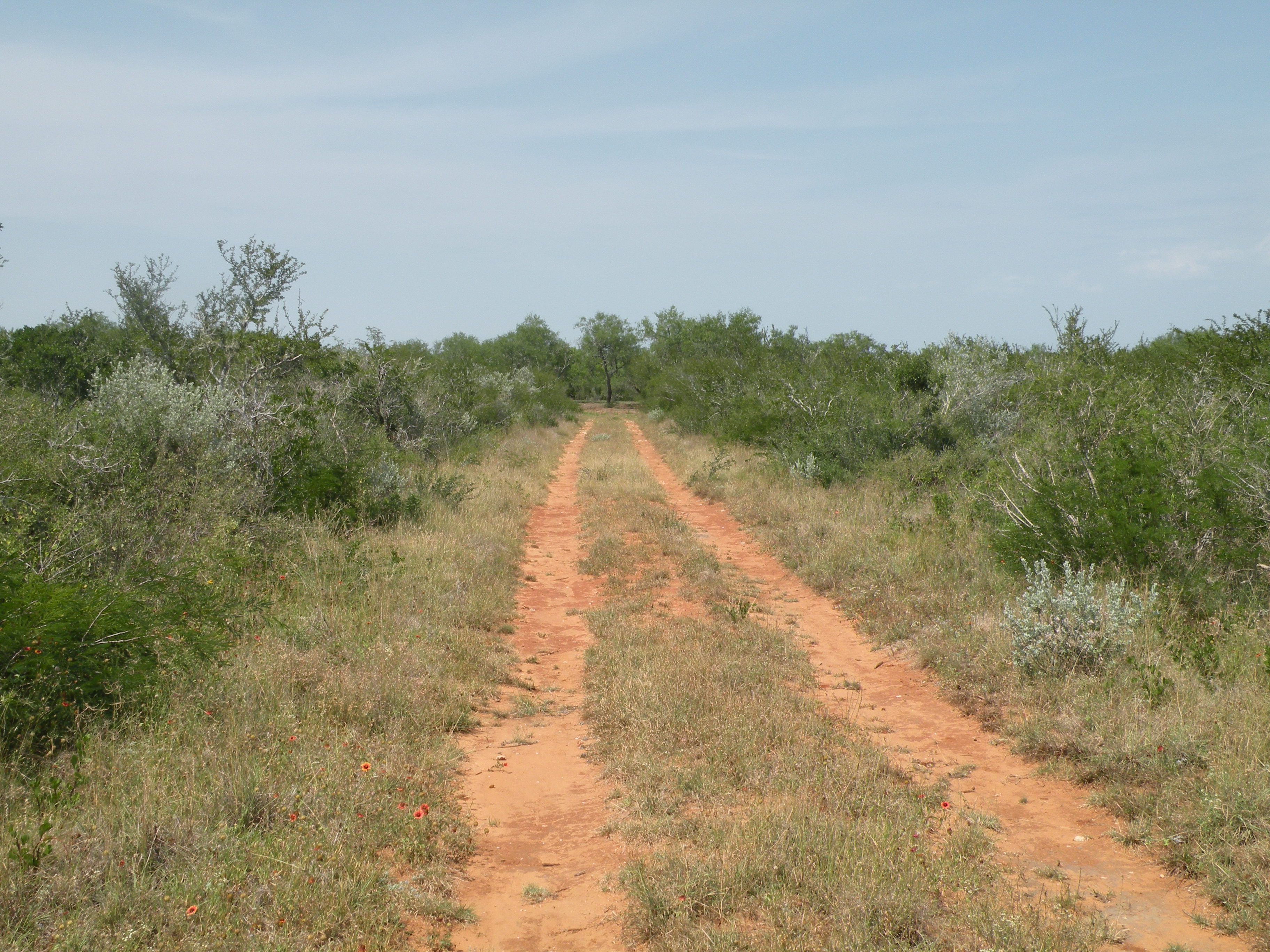 Lobo Real Estate Sold Properties