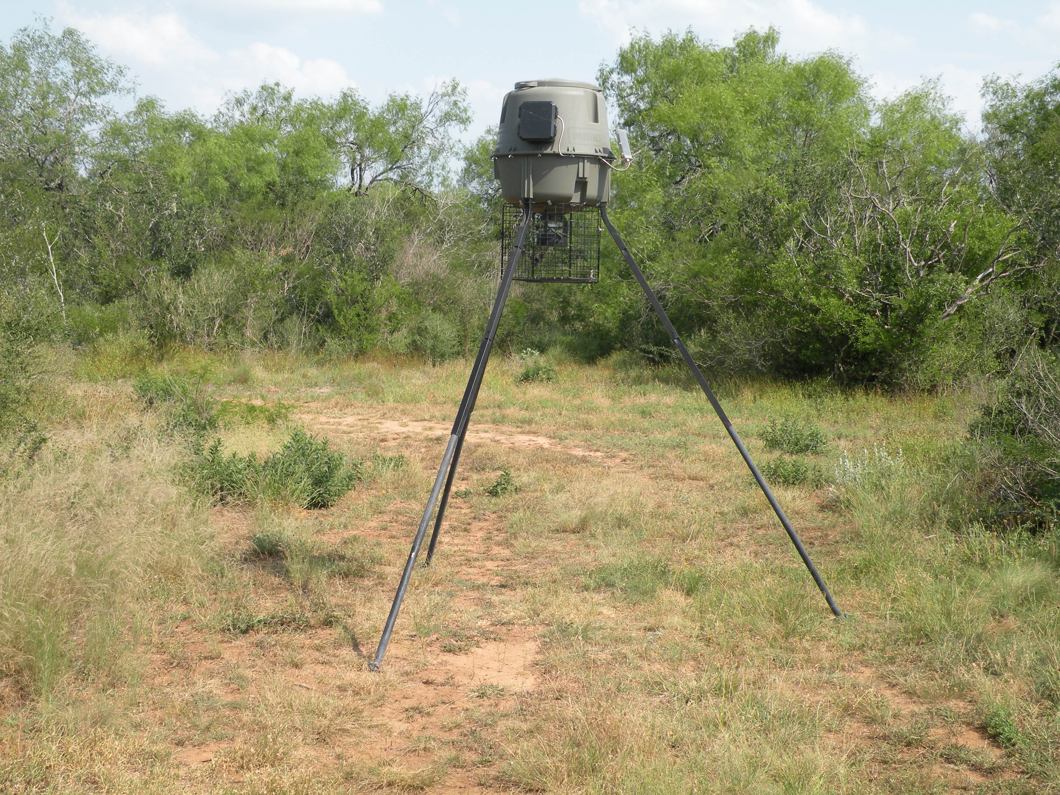 Lobo Real Estate Sold Properties