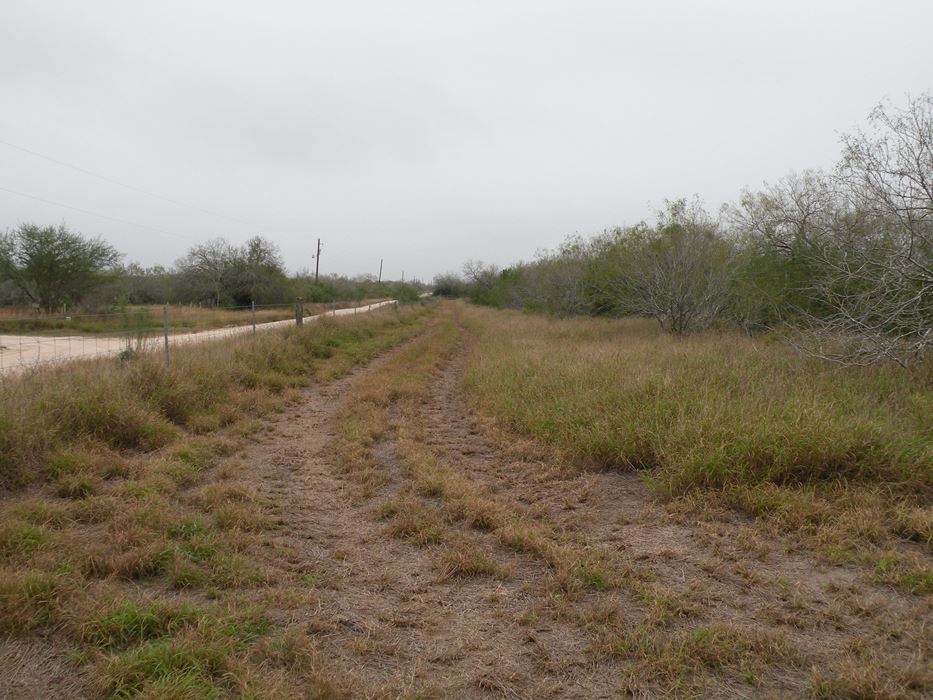 Lobo Real Estate Sold Properties