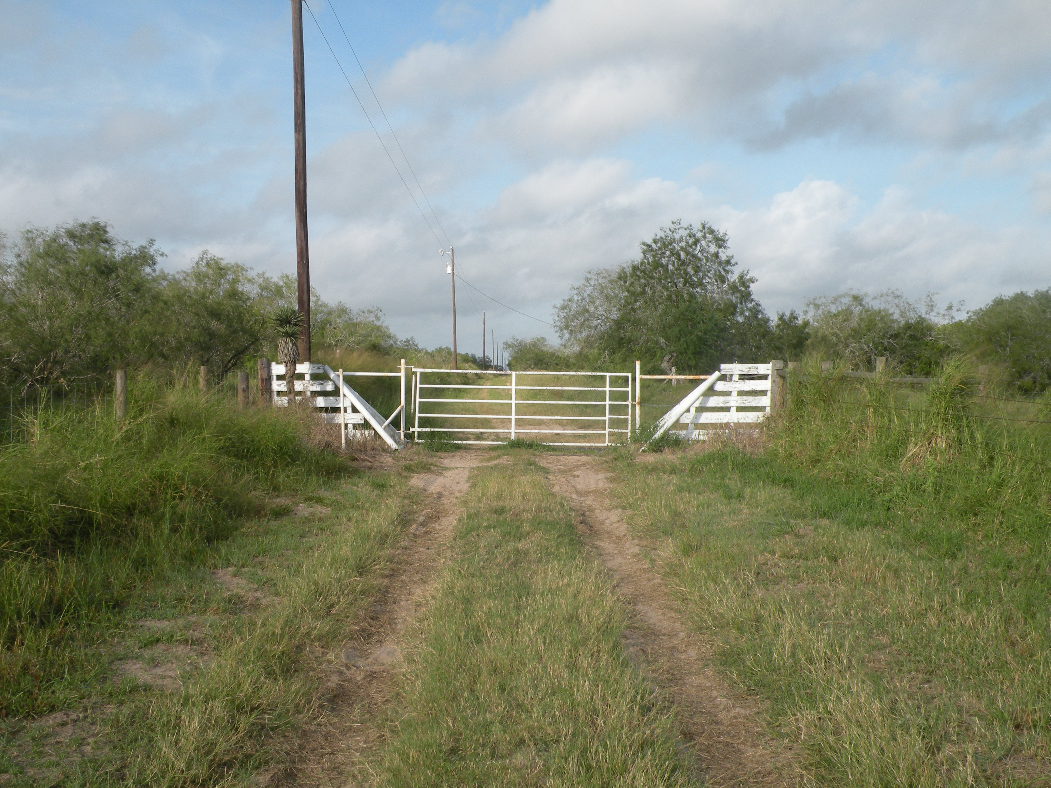 Lobo Real Estate Farm & Ranch Properties