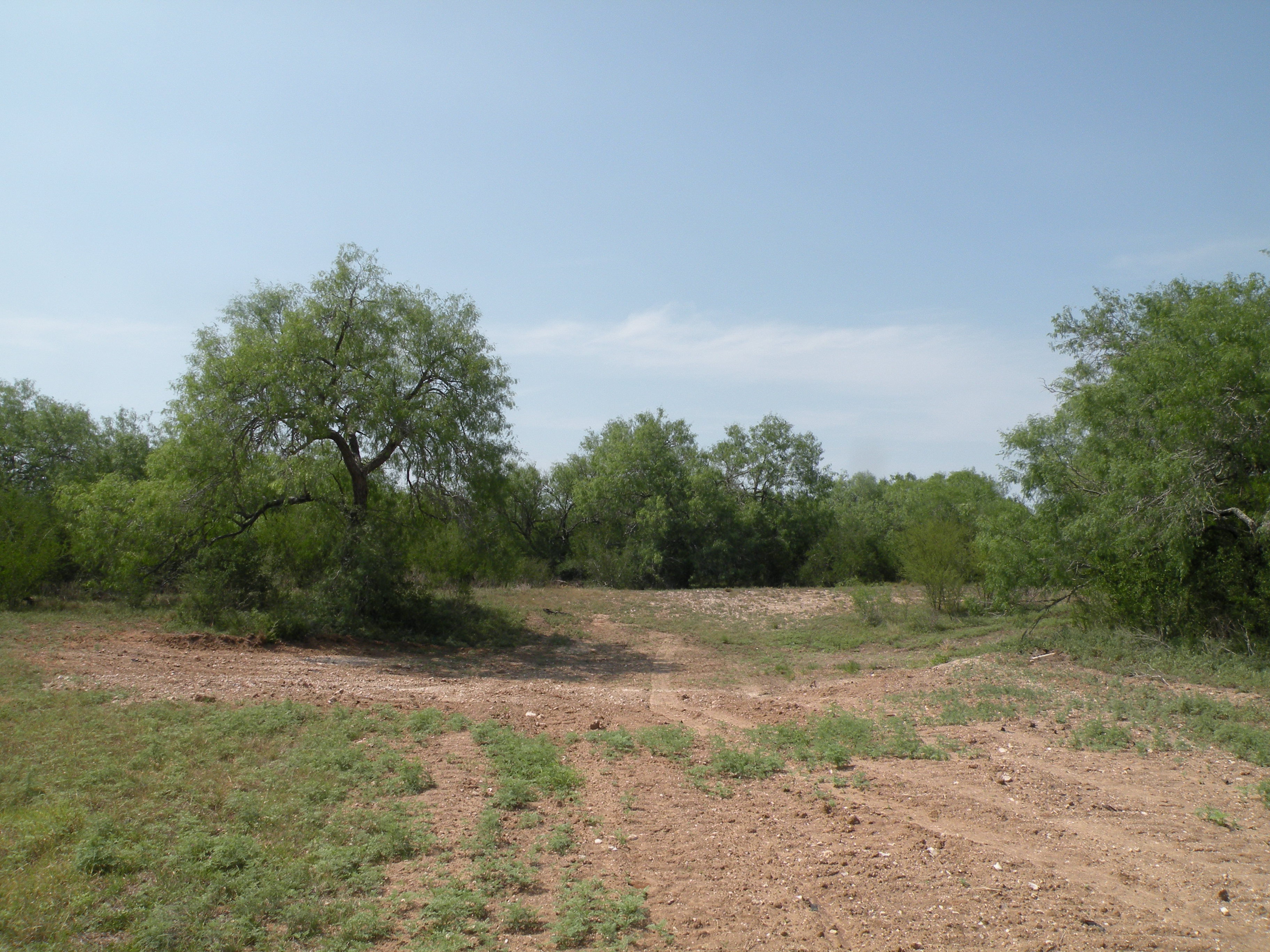 Lobo Real Estate Sold Properties