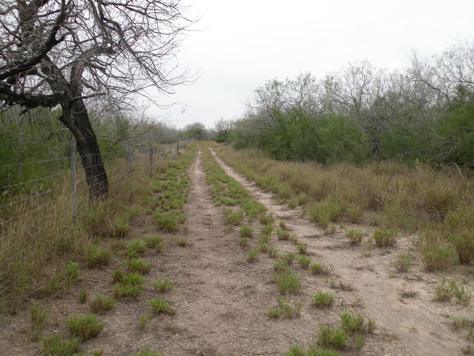 Lobo Real Estate Sold Properties