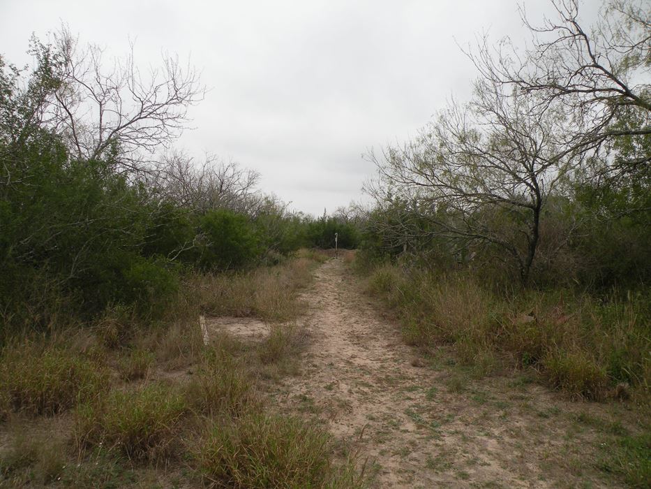 Lobo Real Estate Sold Properties