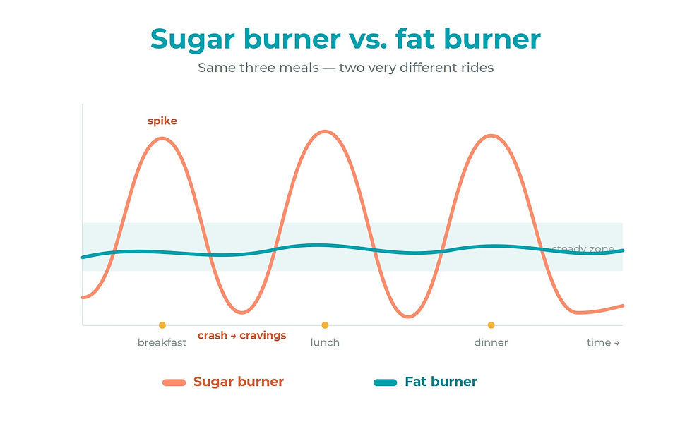 sugar burner vs fat burner blood sugar comparison graph