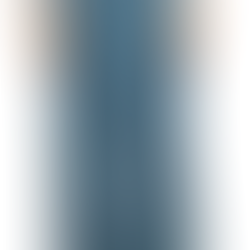 Fitting the Avid Seamstress Culottes