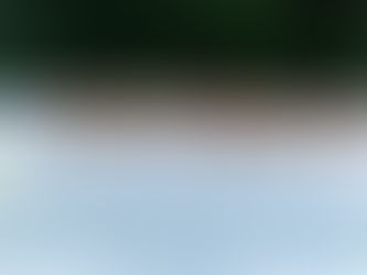 Spotlight on UB Rowing Alumni Neil Gillott