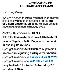 Tings talk at ASBMB_edited.jpg