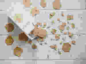 broken crackers on floor