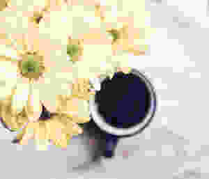coffee cup flowers