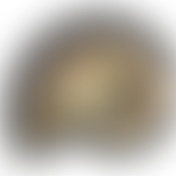 Ammonite | Symbolic Meaning | Spiritual meaning 