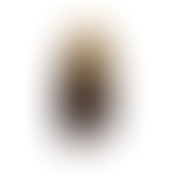 Géminis | Quimeras Zodiacales