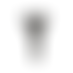 Algiz | Protection | Viking Runes Meaning | nordic oracle