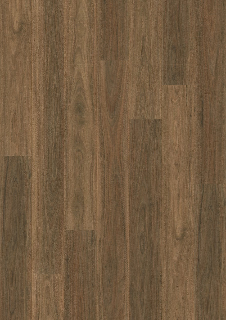 Thumbnail: Majestic - Spotted Gum | MJ4252