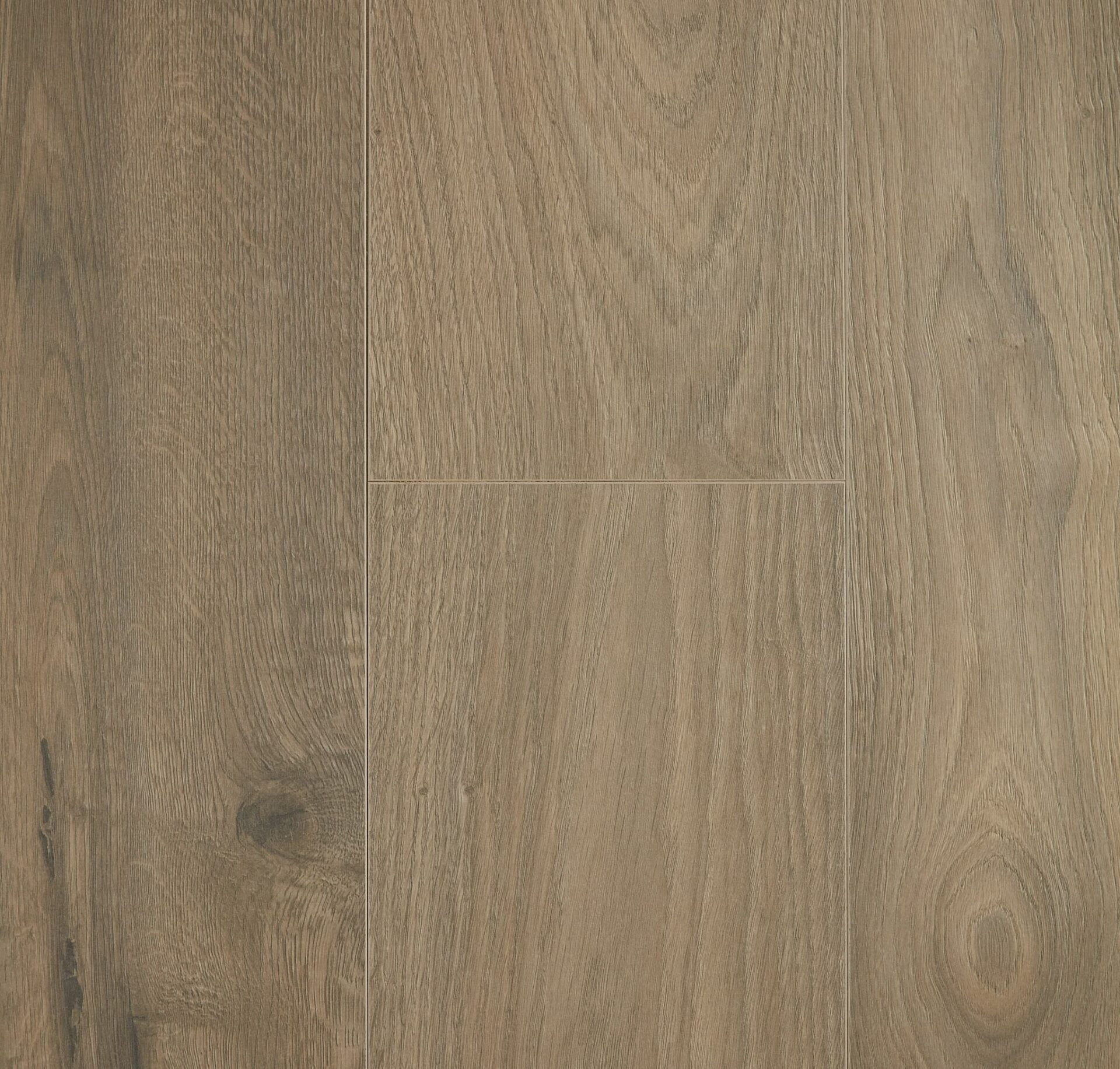 Aquastop 14MM Laminate - Forest
