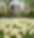 ChatGPT Image Mar 31, 2026, 07_24_41 PM.png