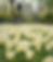 ChatGPT Image Mar 31, 2026, 07_24_41 PM.png