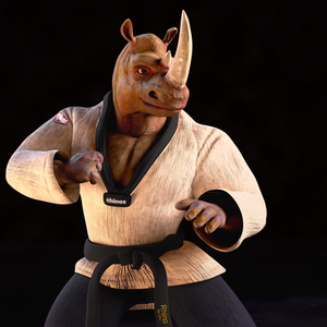 Rhino Taekwondo