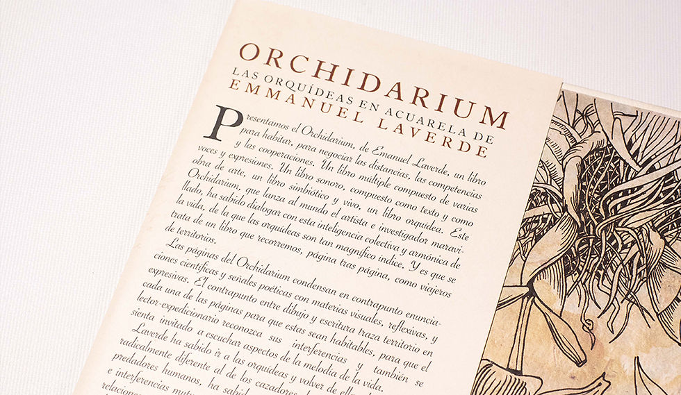 Miniatura: ORCHIDARIUM