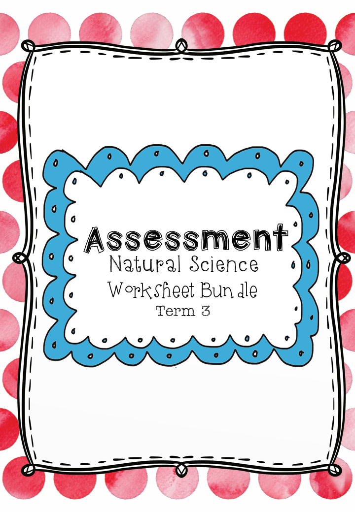 grade 6 natural science worksheet bundle term 3 die