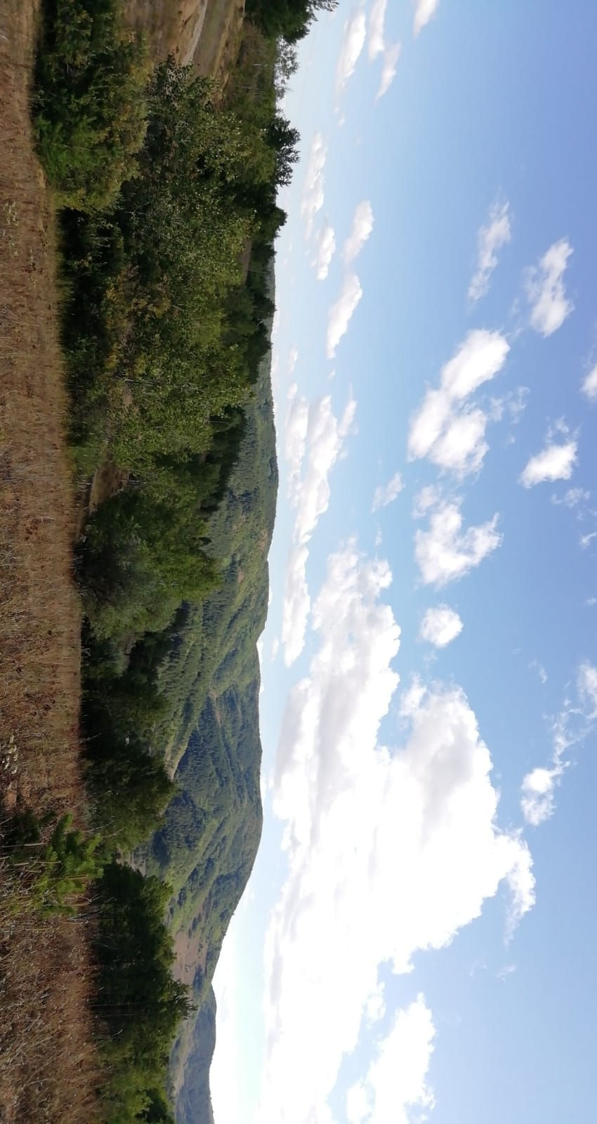 doğa7