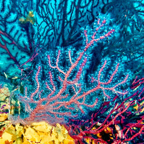 8637fd7c-9a50-4fcd-8297-ff0cb2d6b2ee