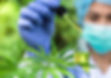 CBD-Testing-Concept.jpeg