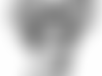 Caso Schreber. Un delirio del siglo XX. De Freud al ciberpunk. Un esquizoanálisis sobre la paranoia.