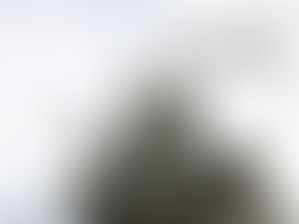 Quimera #397. Diciembre 2016