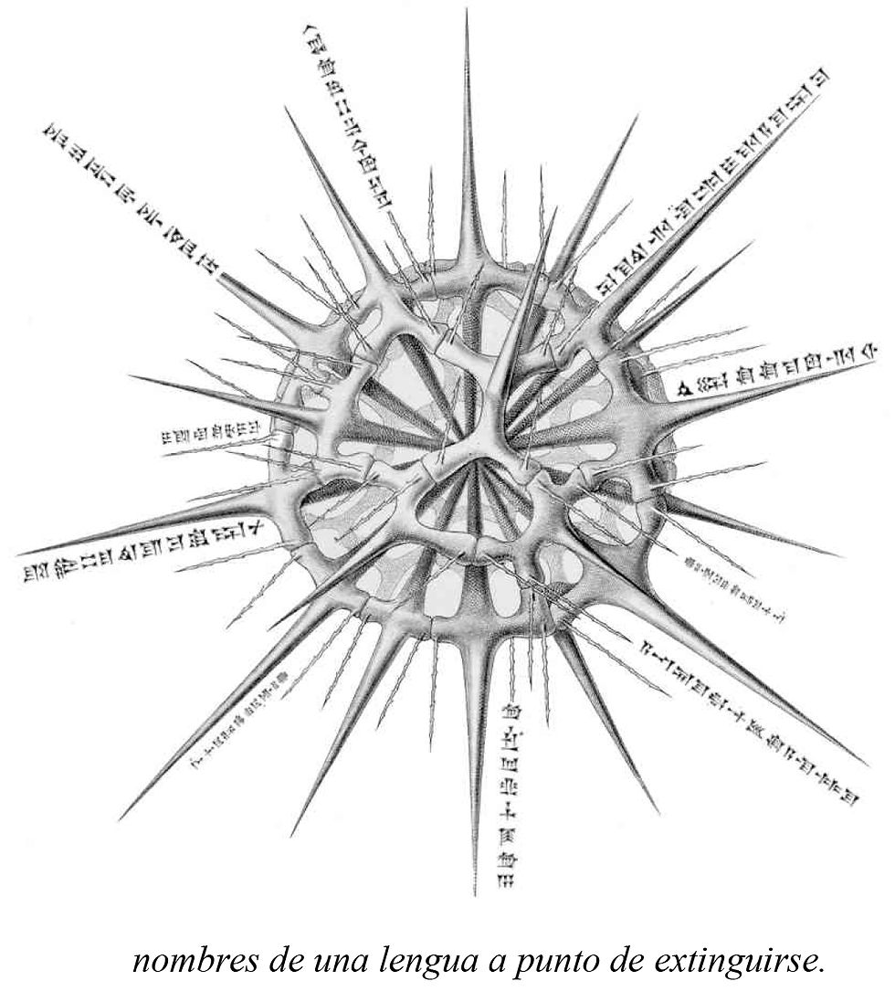 "Sílithus": poemas distópicos contra el apocalipsis