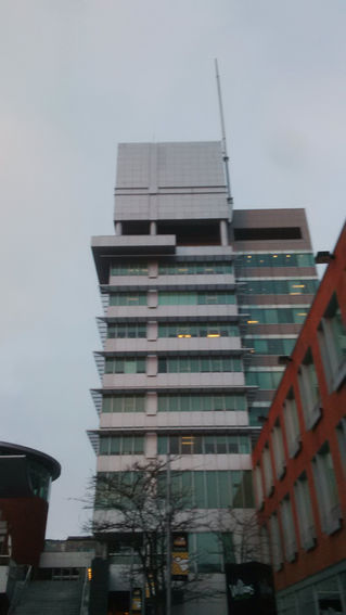 Sky Zoo at the Sky Gallery!