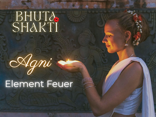 BHUTA SHAKTI (Präsentation (43))(2).png