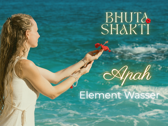 BHUTA SHAKTI (Präsentation (43))(1).png