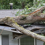 Wind-Damage-1.jpg