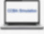 CCBA Online Study Exam