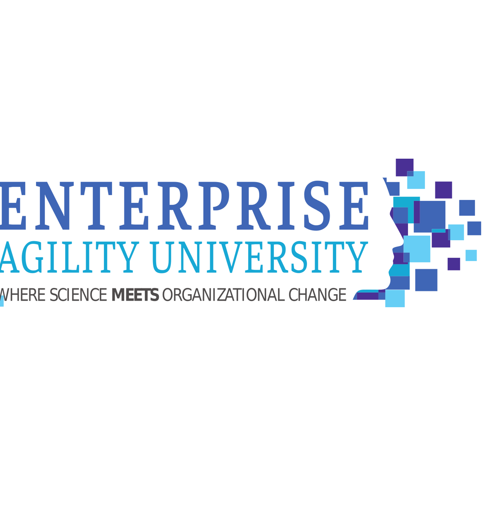 Enterprise Agility University