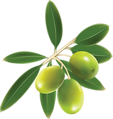 olives_PNG14327.png