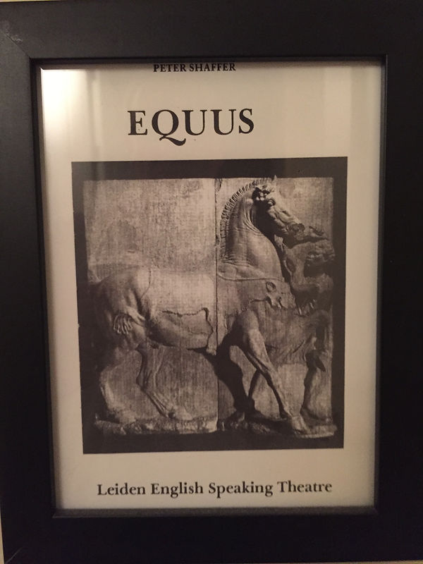 Equus flyer.jpg