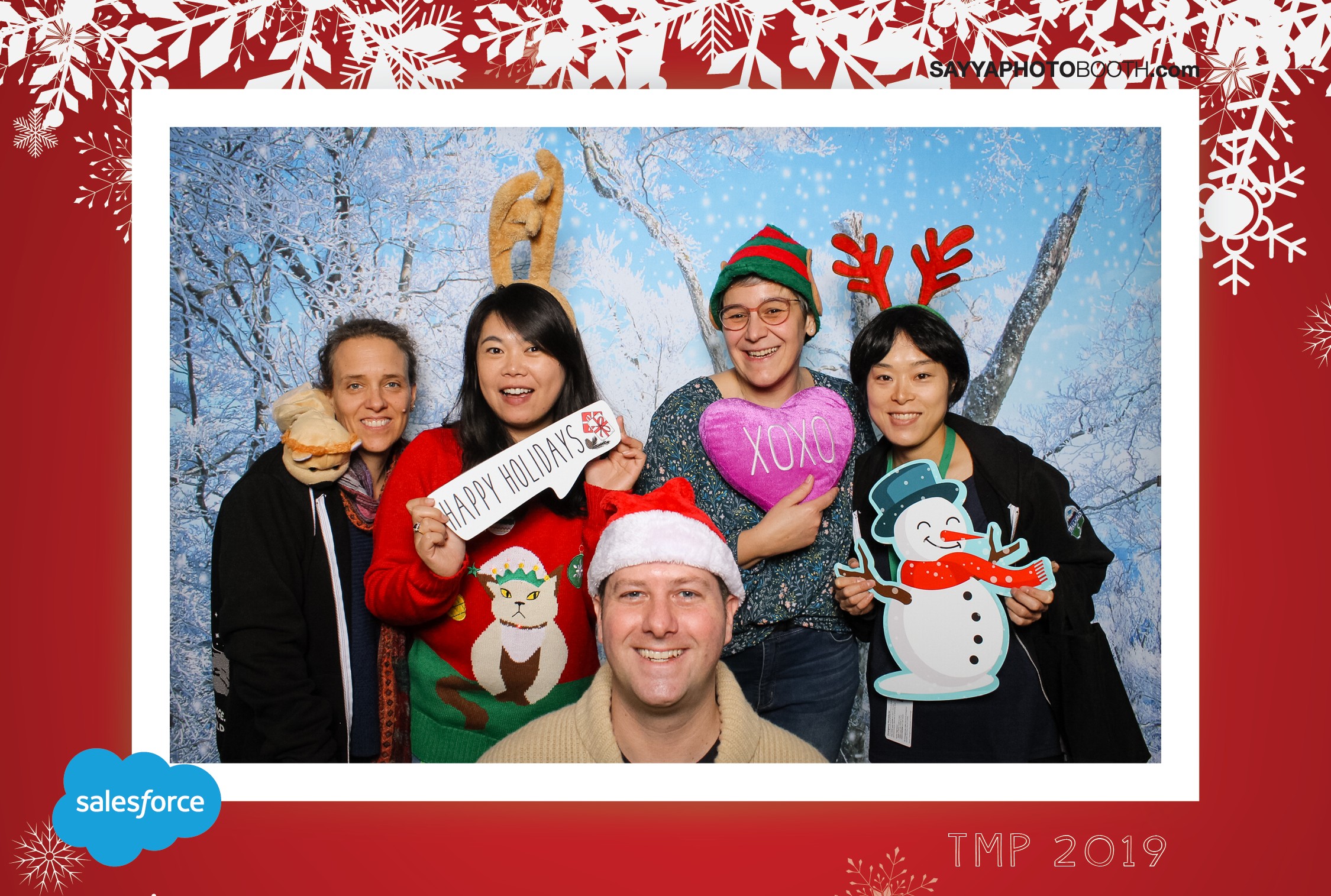 Salesforce TMP