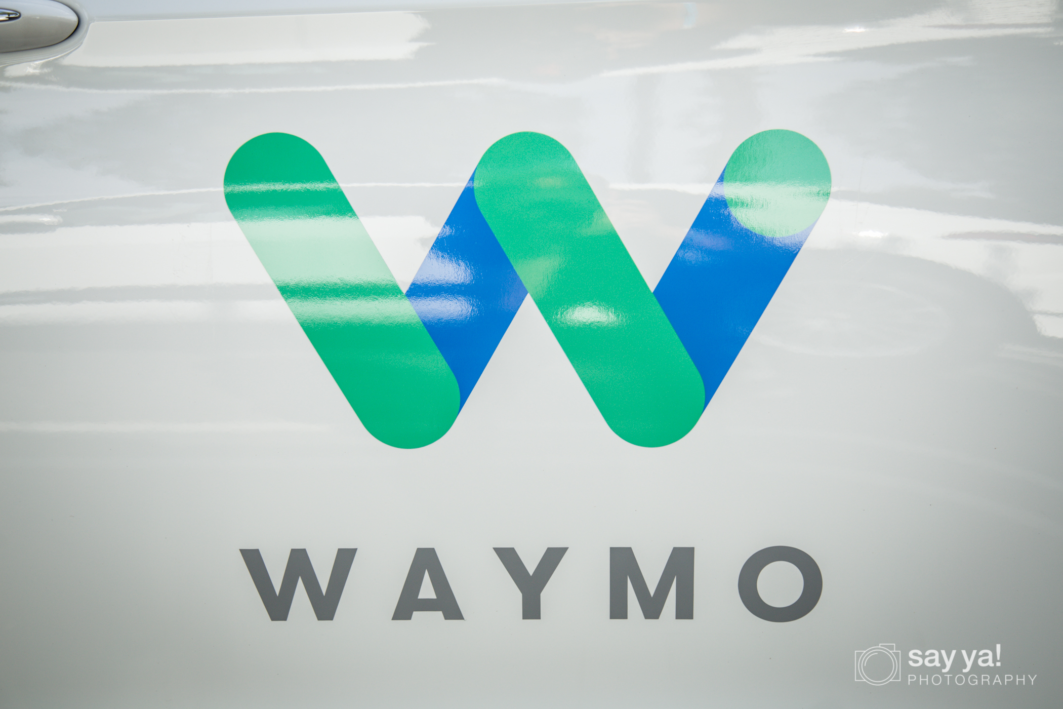 Waymo Summer Picnic