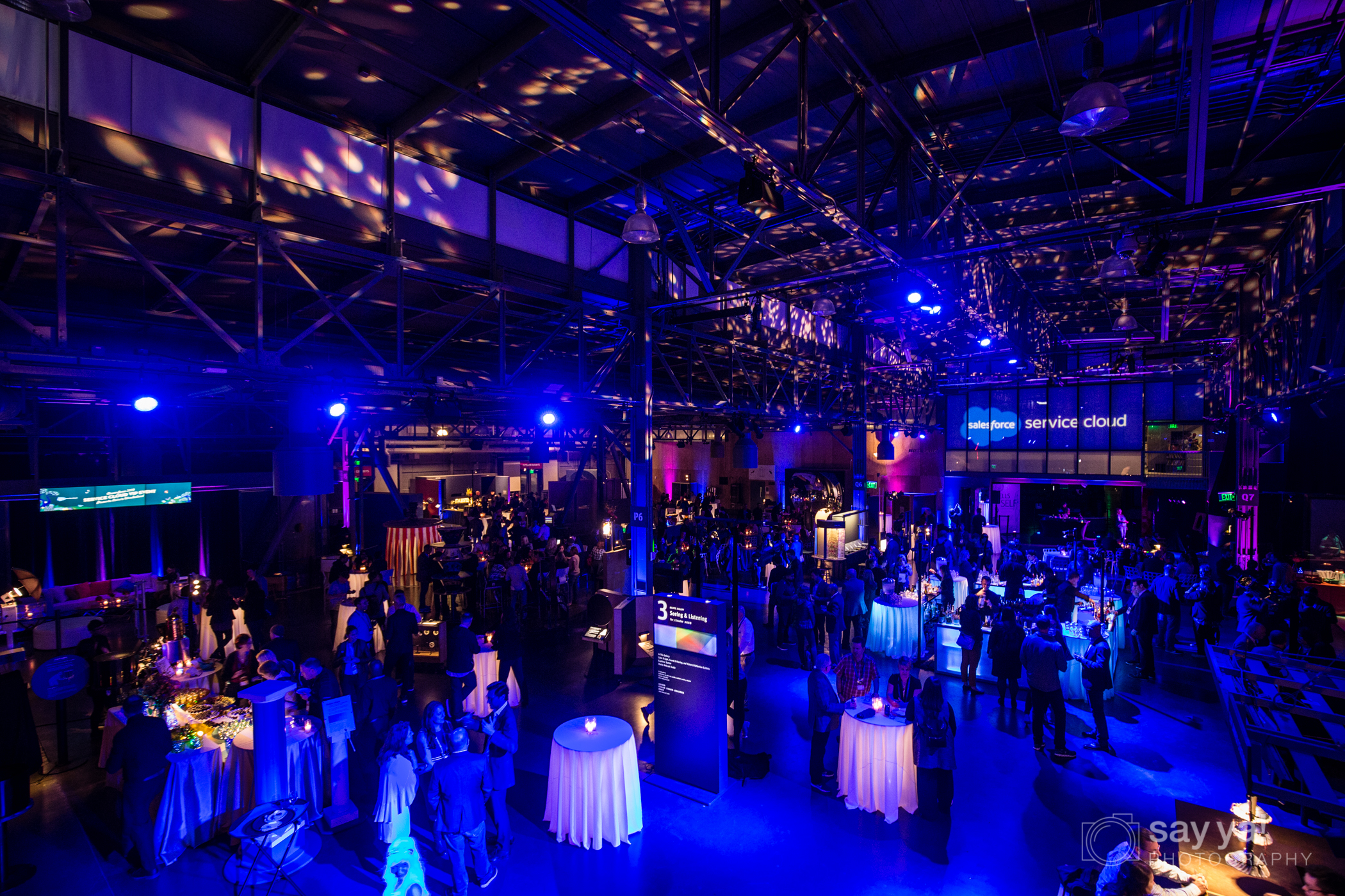 Salesforce VIP Party
